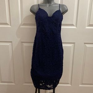 Windsor Navy Blue Vintage style dress Size Large Lace